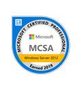 MicrosoftServer logo